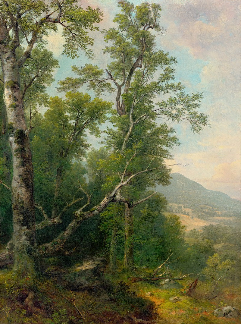 Asher Brown Durand - Study of Trees