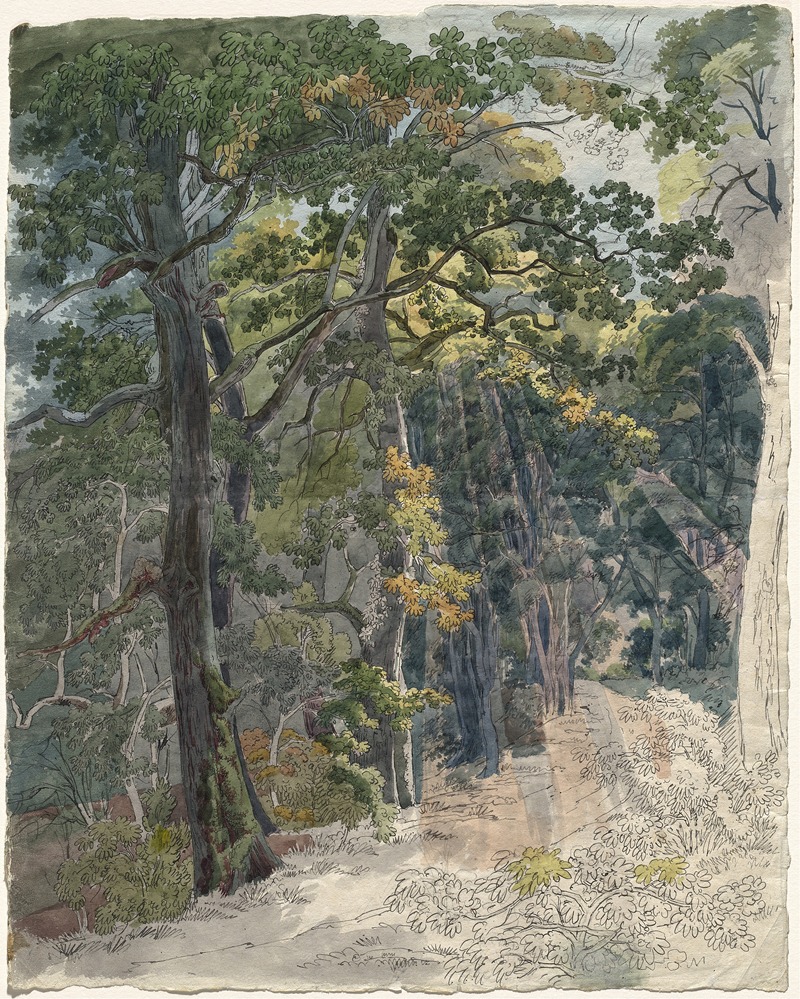 Friedrich Salathé - Rays of Sunlight Striking a Woodland Path