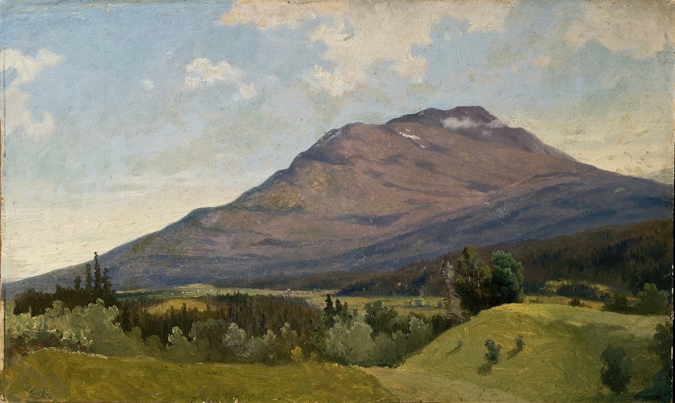 Gustaf Wilhelm Palm - Summer Landscape with Mountain