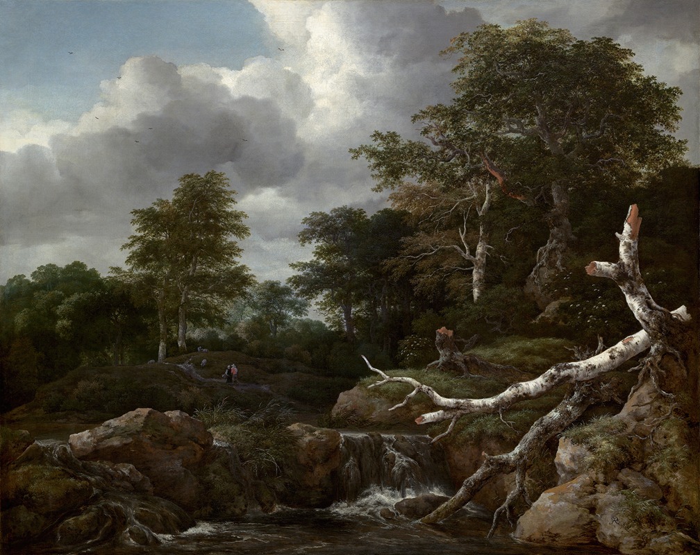 Jacob van Ruisdael - Forest Scene