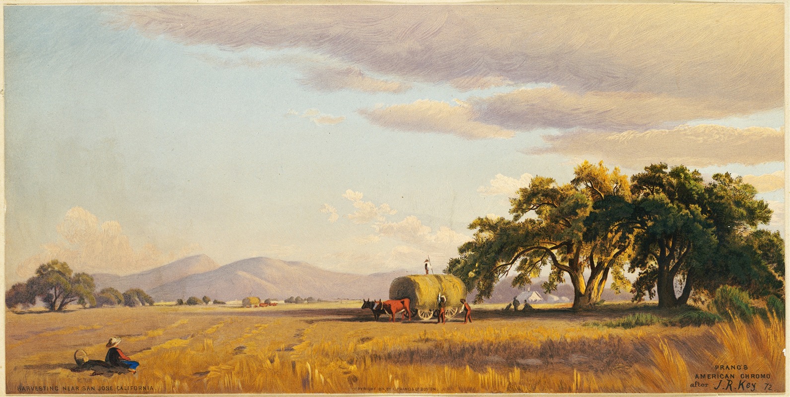 John Ross Key - Harvesting near San Jose, California