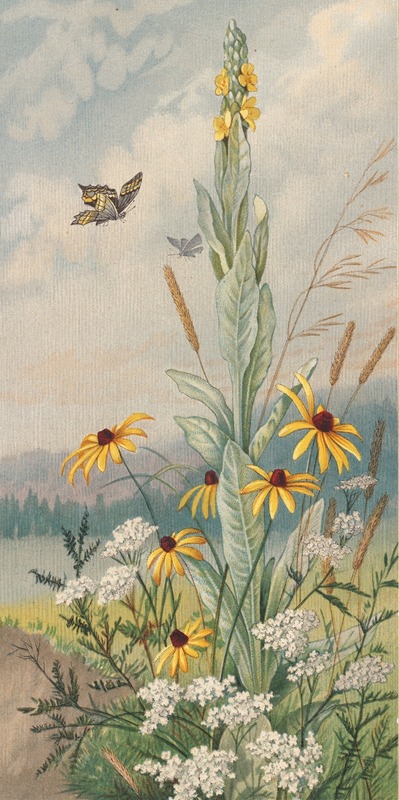 Louis Prang - Flowers of the Meadow