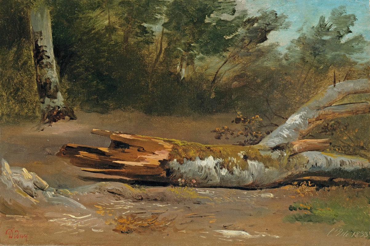 François Diday - Forest with Tree Trunk (L’jsle)