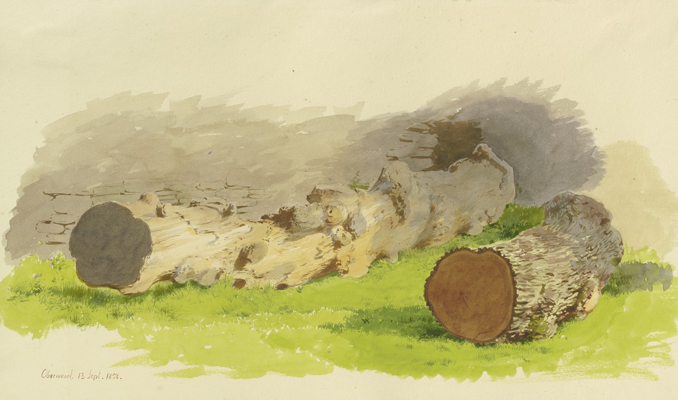 Carl Theodor Reiffenstein - Abgesägte Baumstämme vor einer Mauer in Oberwesel, September 13, 1858
