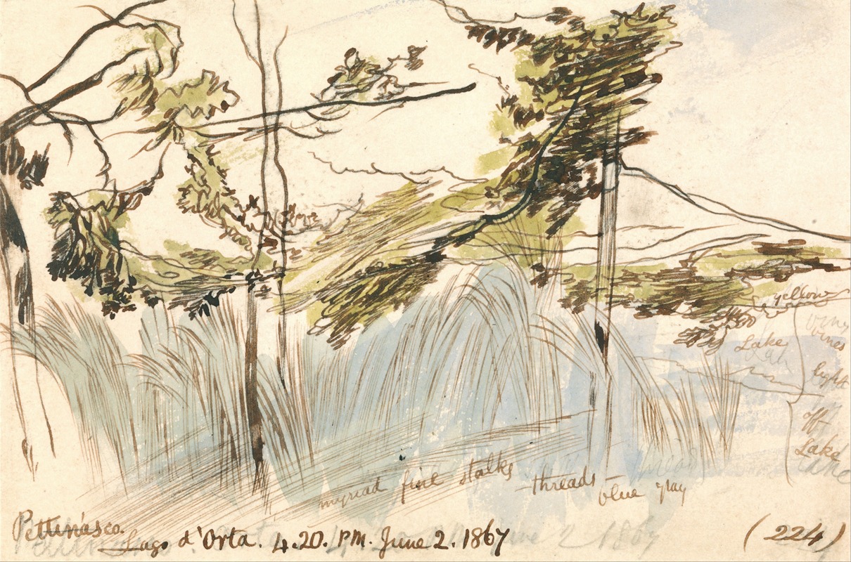 Edward Lear - Pettenasco, Lago d’Orta, 4-20 pm, 2 June 1867