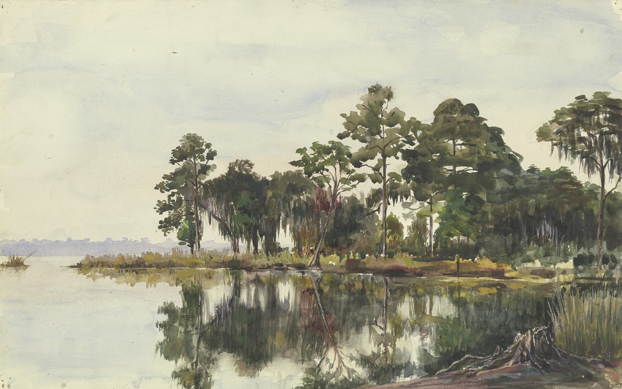 Fritz Hauck - Baumschlag am Wasser, Jacksonville, November 29, 1904