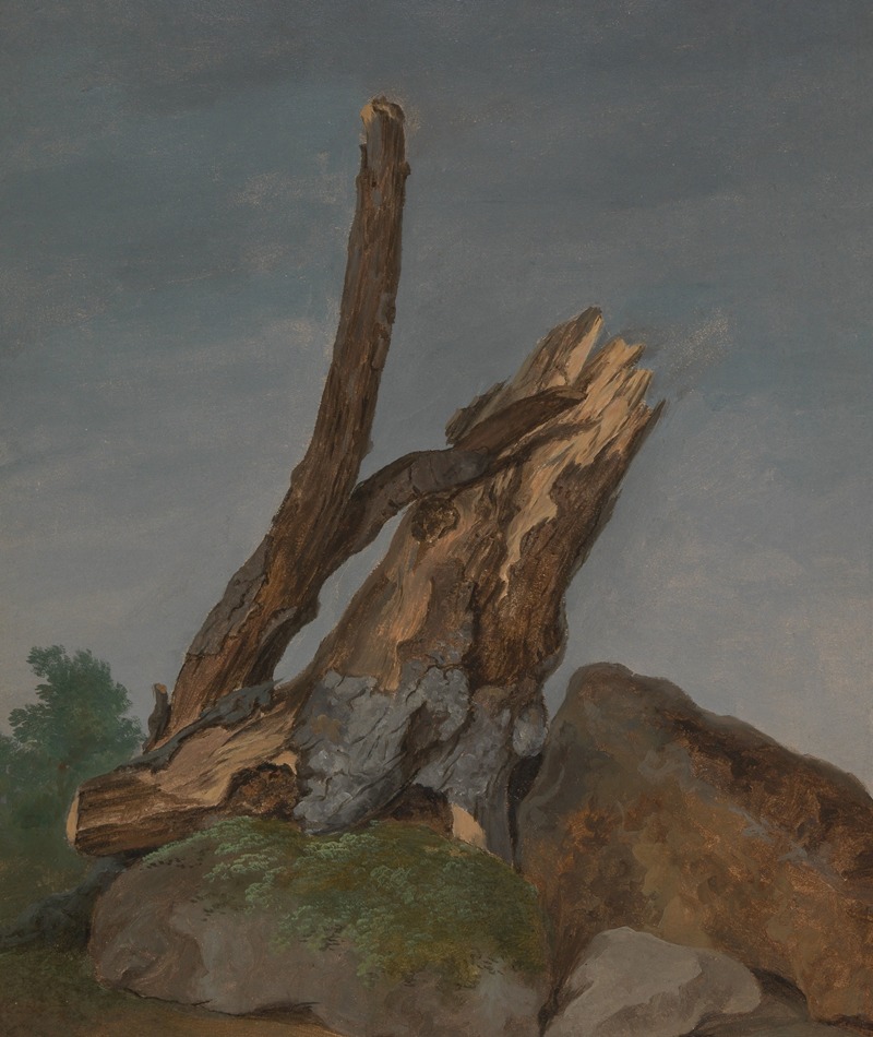 George Augustus Wallis - Study of Rocks and Branches