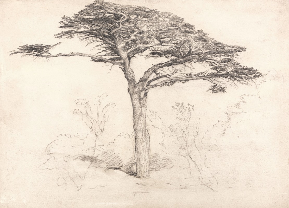 Samuel Palmer - Old Cedar Tree in Botanic Garden, Chelsea