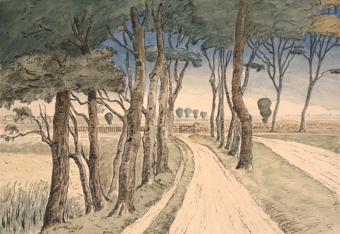 Johan Rohde - Field landscape. In the foreground a road with trees