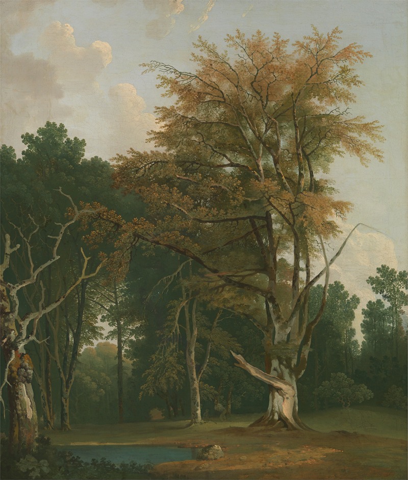 Joseph Farington - Trees in a Woodland Glade
