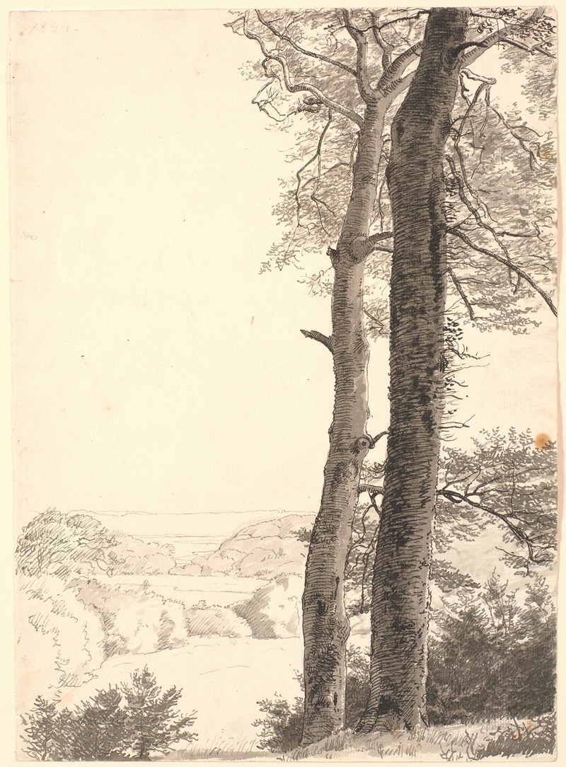 P. C. Skovgaard - Landskab ved Skarritsø med to høje træer, bøge, i forgrunden