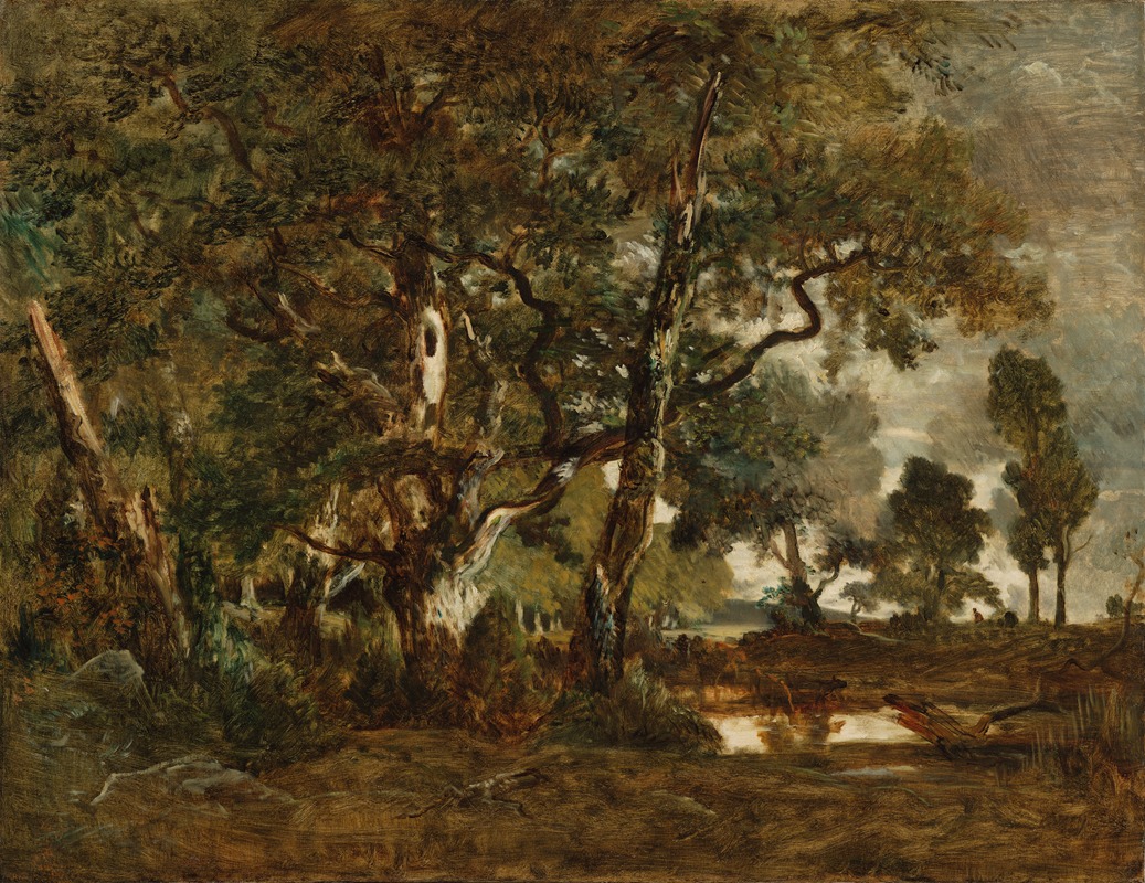 Théodore Rousseau - Forest of Fontainebleau, Cluster of Tall Trees Overlooking the Plain of Clair-Bois at the Edge of Ba…