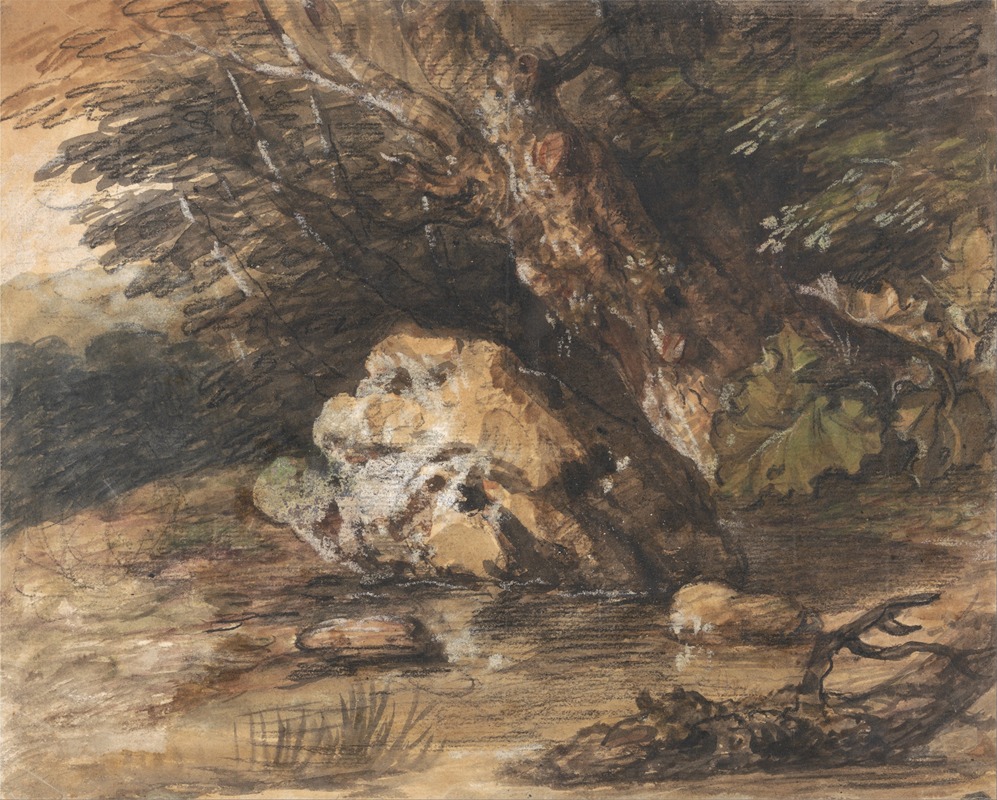 Thomas Gainsborough - A Woodland Pool with Rocks and Plants