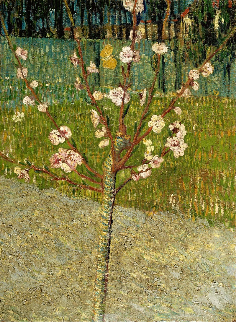 Vincent van Gogh - Almond tree in blossom