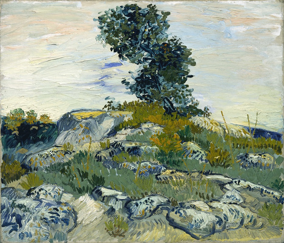 Vincent van Gogh - The Rocks