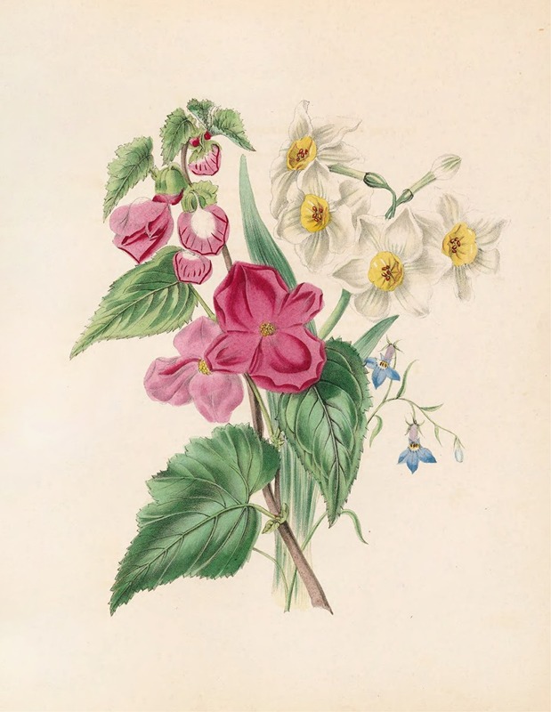 James Ackerman - Bignonia Martiana, Narcissus, And Blue Lobelia