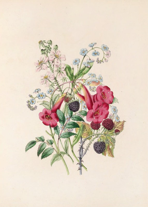 James Ackerman - Trumpet-Flower, Forget-Me-Not, And Raspberry