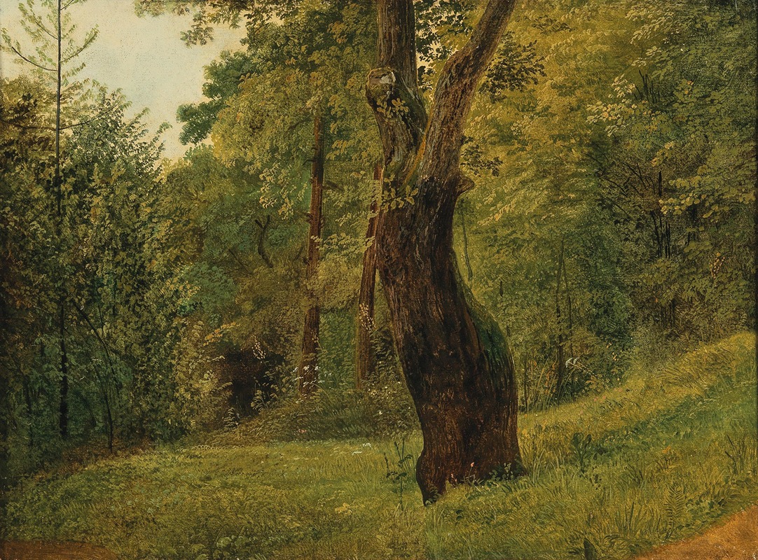 Circle of Friedrich Gauermann - A Tree at the Edge of the Woods