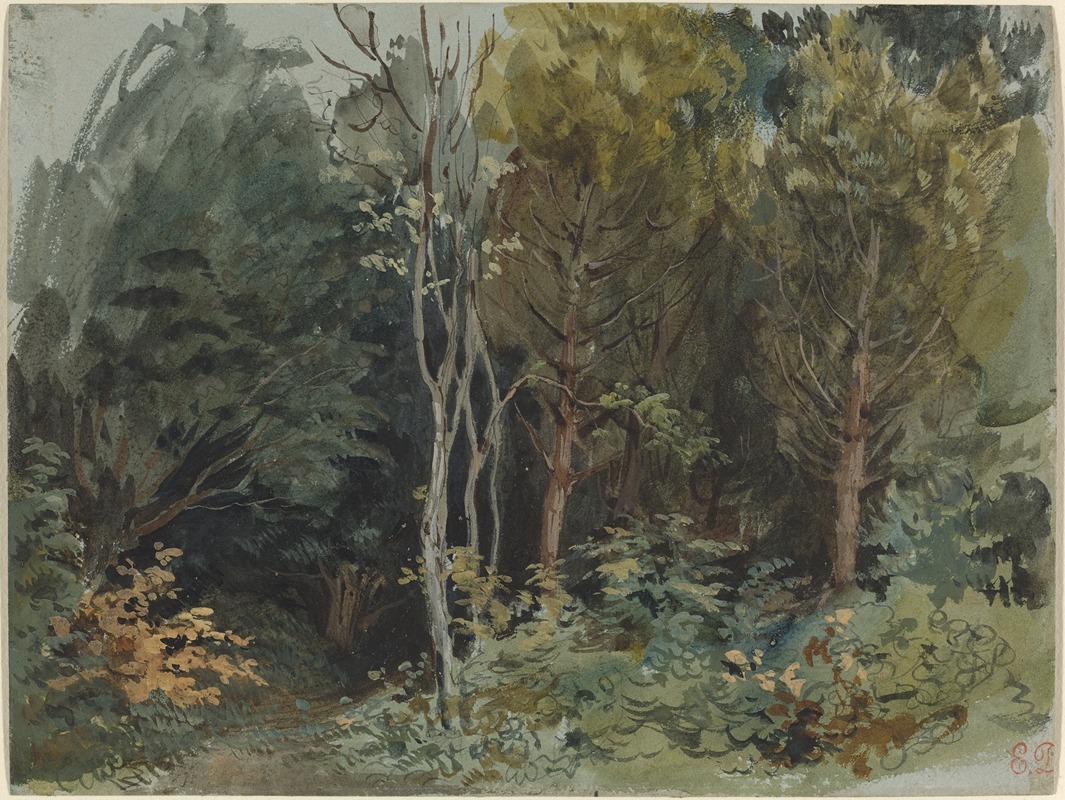 Eugène Delacroix - The Edge of a Wood at Nohant