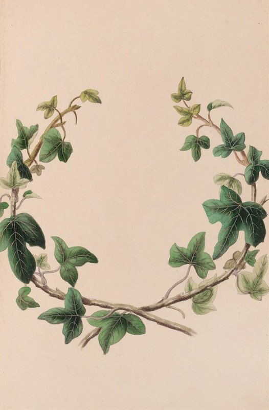 John Stevens Henslow - Wreath Of Ivy