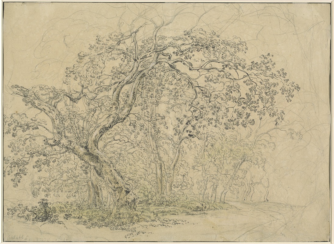 Friedrich Salathé - Grove of Trees (verso)