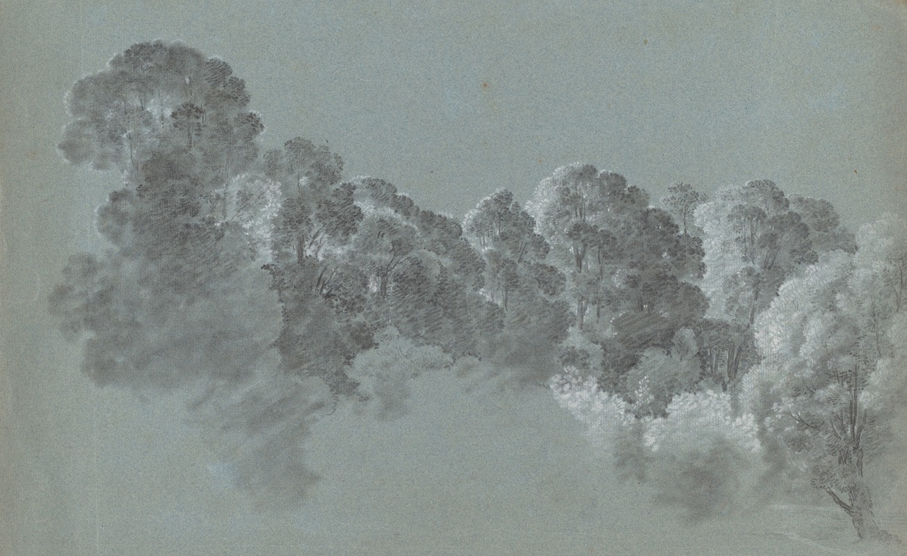 Heinrich Rieter - Forest Treetops Struck by Light