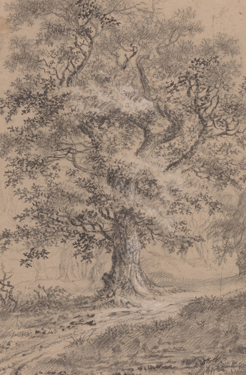Johann Caspar Huber - A Leafy Oak by a Woodland Path