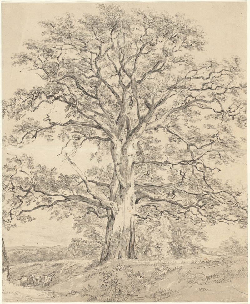 John Constable - A Great Oak Tree