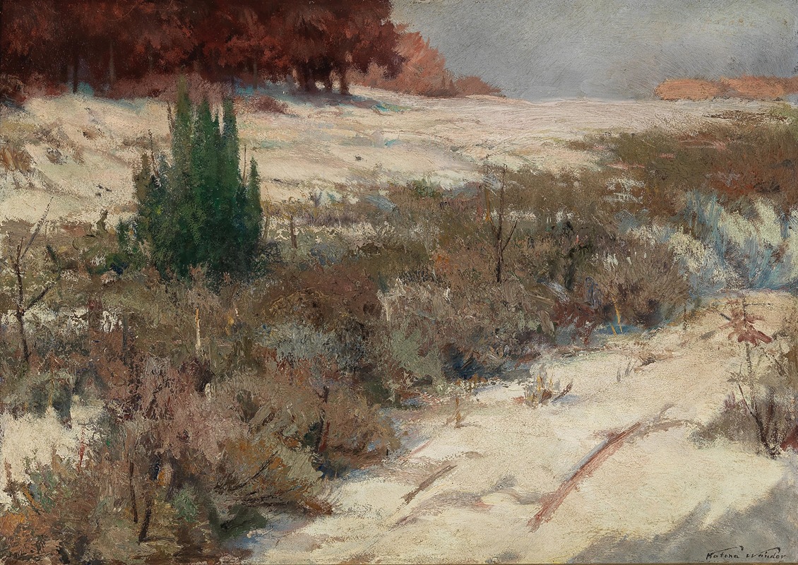 Ferdinand Katona - A Winter Landscape