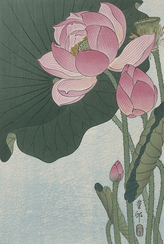 Ohara Koson - Blooming lotus flowers