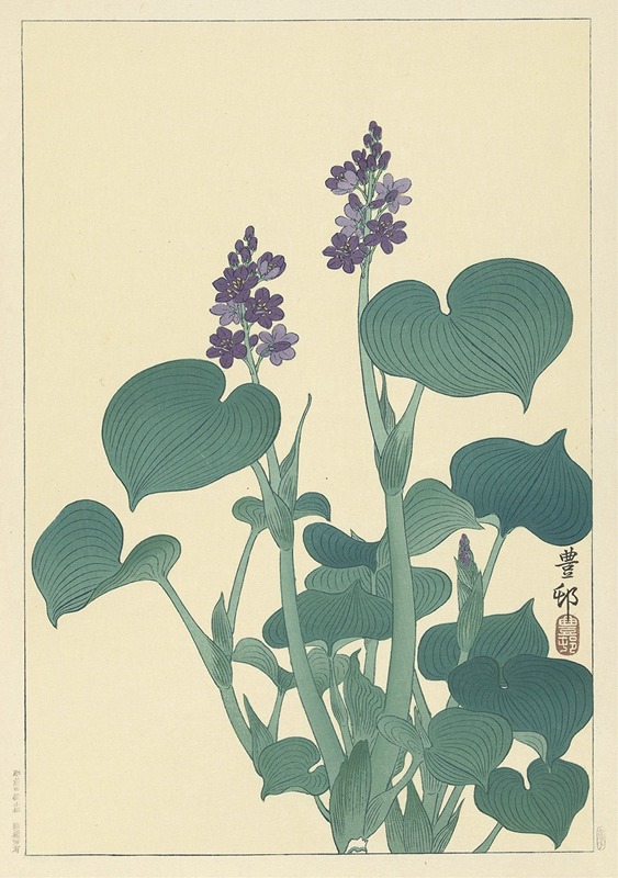 Ohara Koson - Flowering hosta