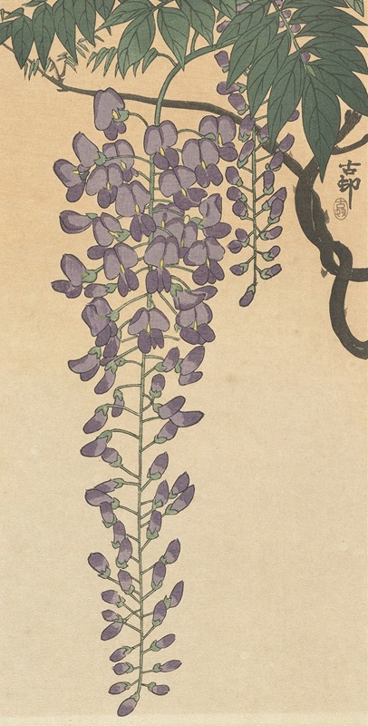 Ohara Koson - Flowering wisteria