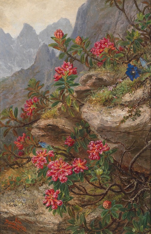 Anna Stainer-Knittel - Alpenblumen