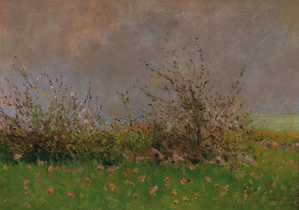 Ladislav Mednyánszky - A Flower Meadow