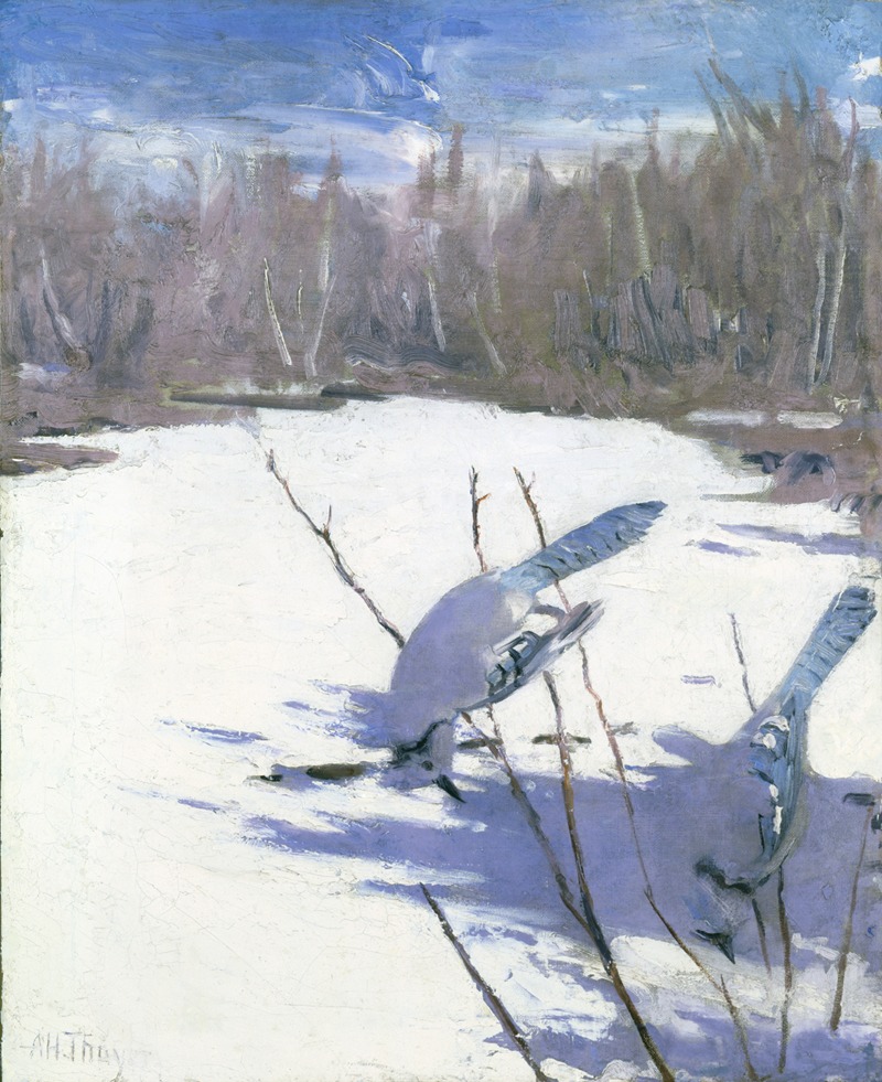 Abbott Handerson Thayer - Blue Jays In Winter, Study For Book Concealing Coloration In The Animal Kingdom