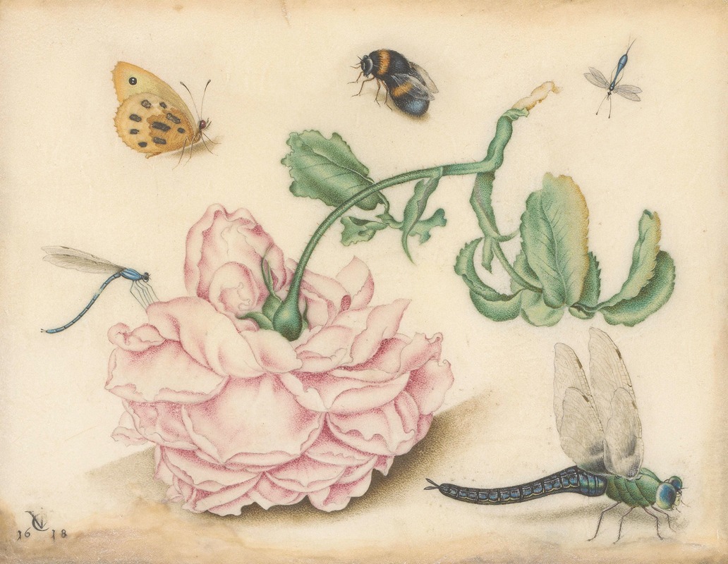 Christoffel van den Berghe - A Rose and Five Insects