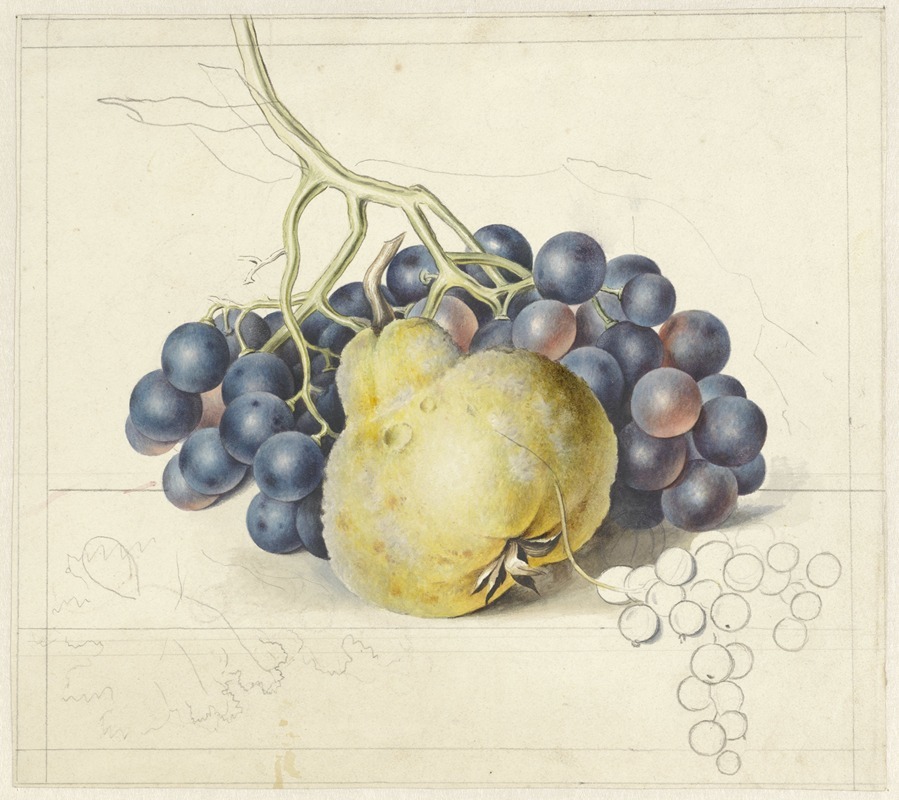 Georgius Jacobus Johannes van Os - Stilleven met druiven en een peer