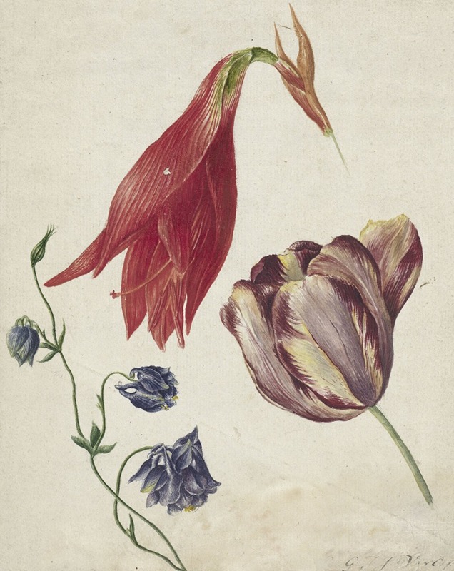 Georgius Jacobus Johannes van Os - Tulp, akelei en amaryllis
