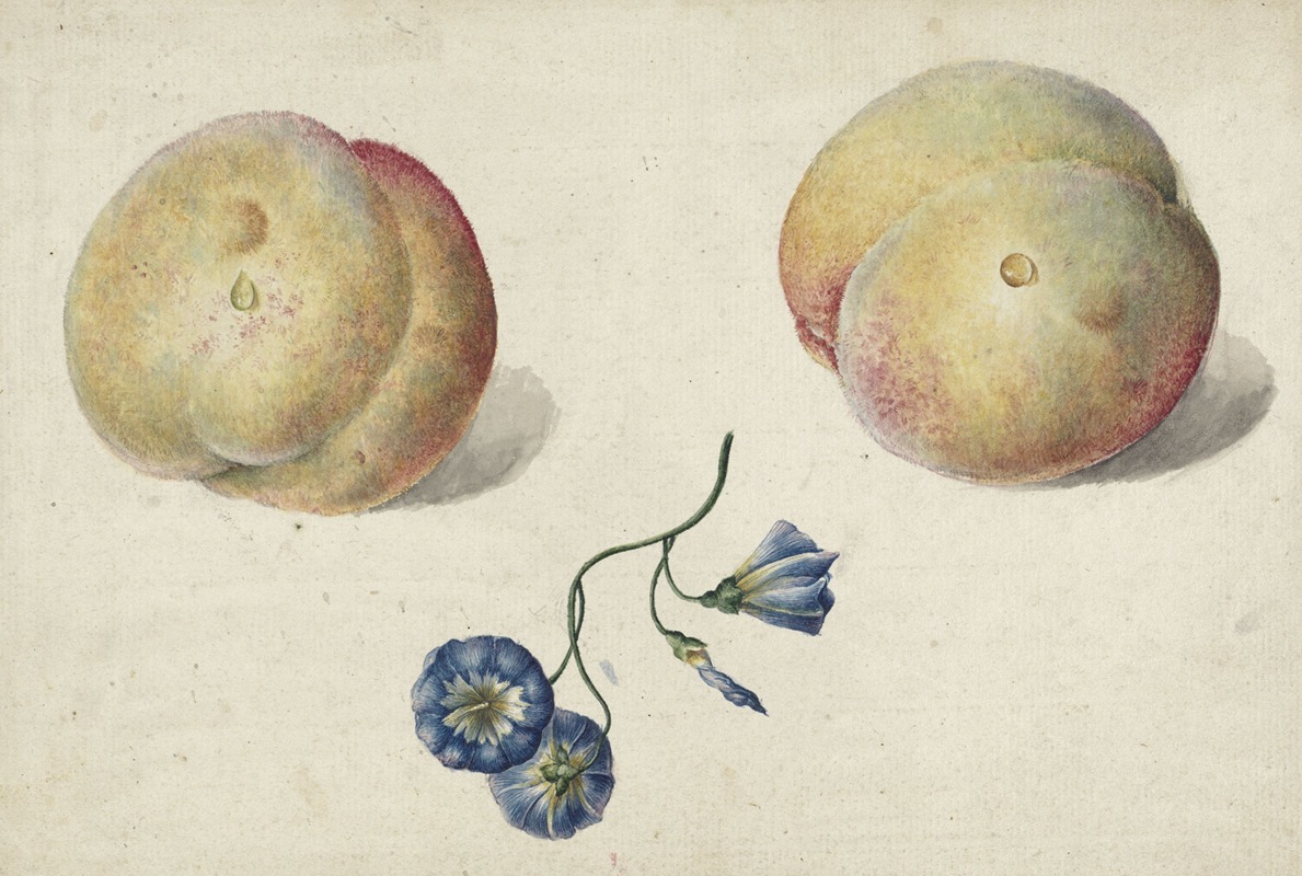 Georgius Jacobus Johannes van Os - Twee perzikken en een bloem