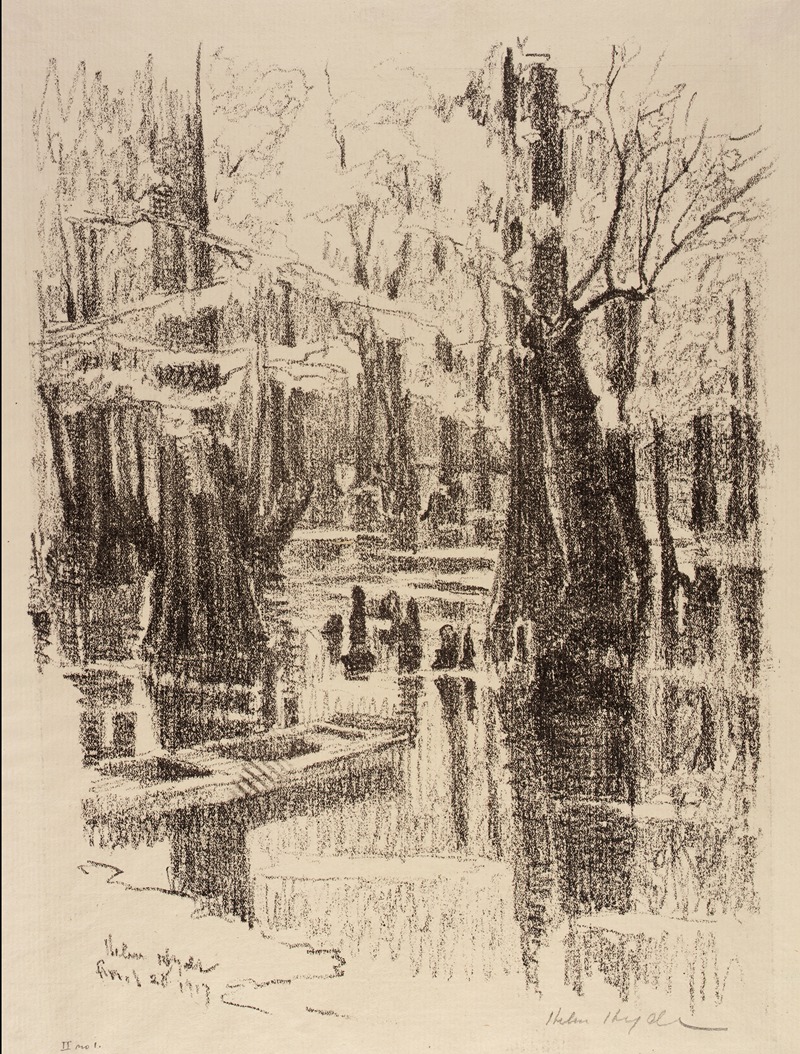 Helen Hyde - Cypress Swamp