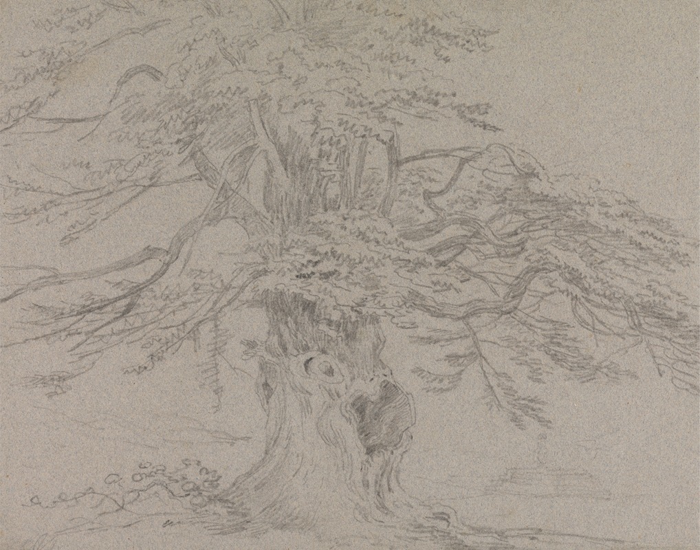 George Howland Beaumont - Tree Study