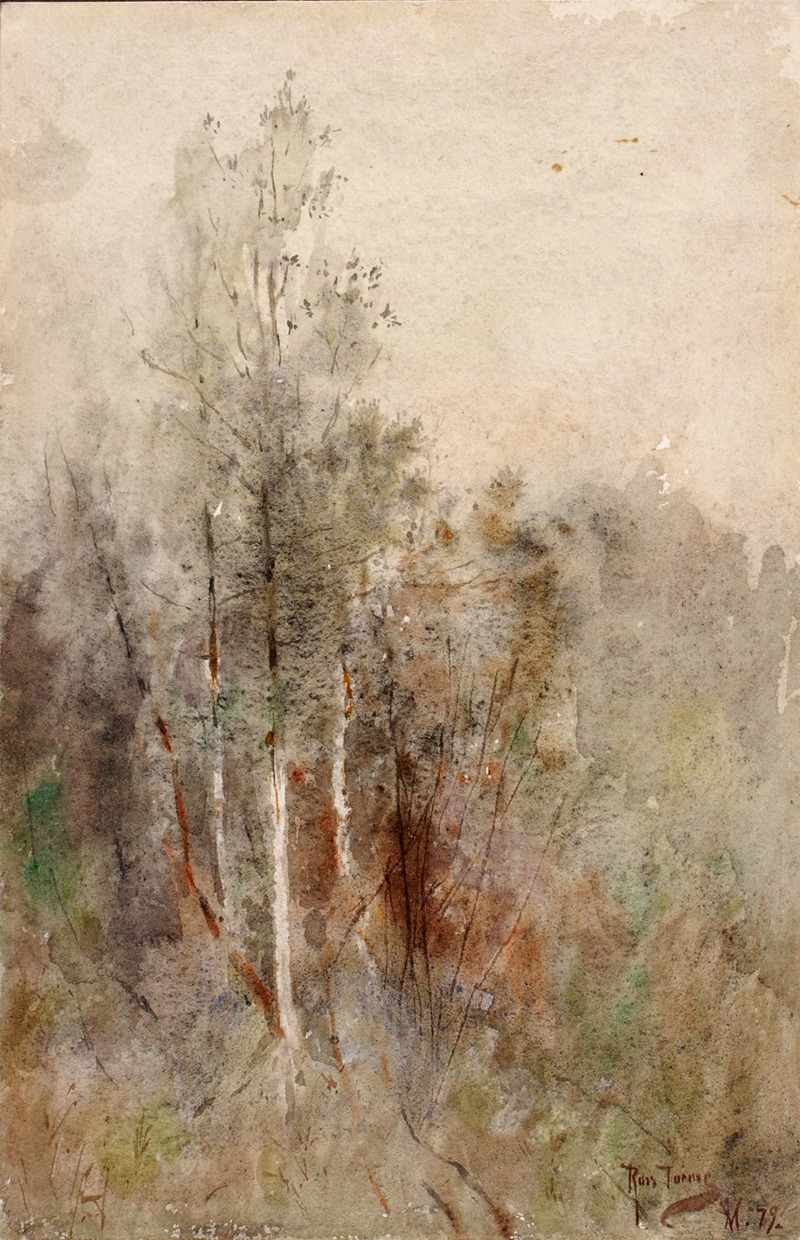 Ross Sterling Turner - A Tree Study