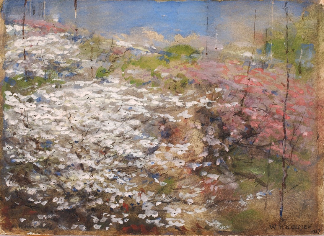 William Henry Holmes - Field Of Blossoms