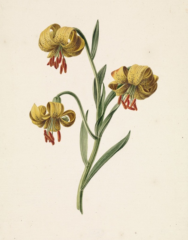 M. de Gijselaar - Tak met drie gele lelies