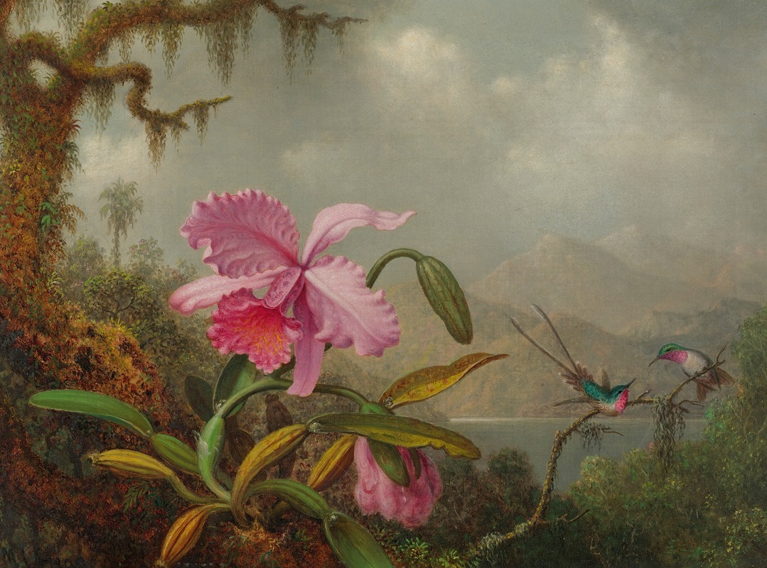 Martin Johnson Heade - Orchids And Hummingbirds