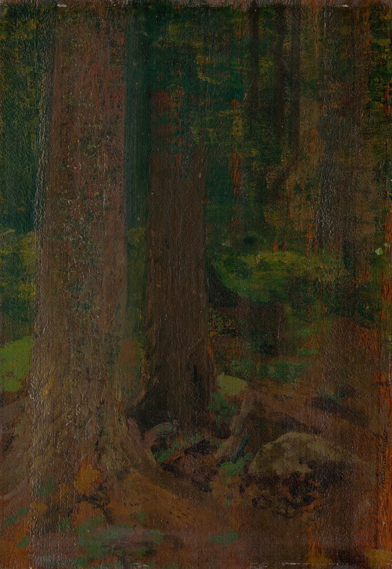 Ferdinand Katona - Study of Forest