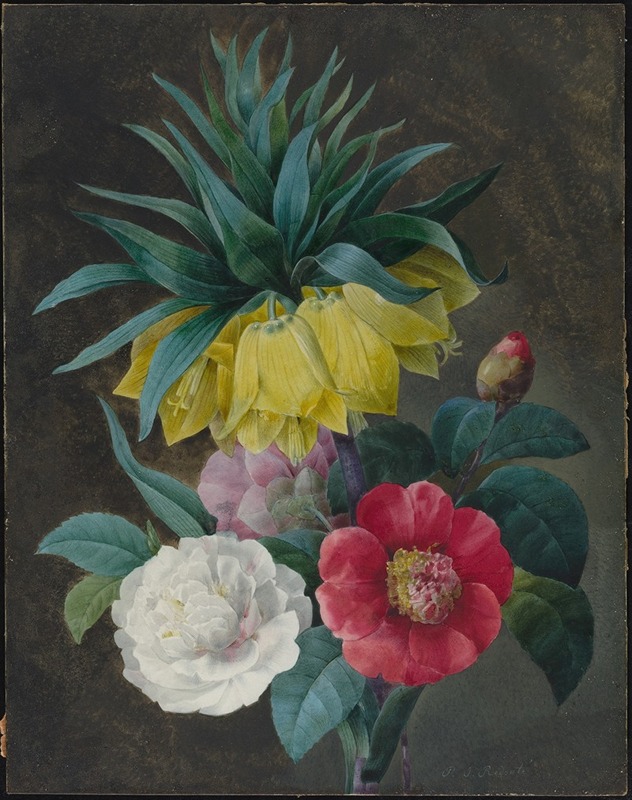Pierre Joseph Redouté - Four Peonies and a Crown Imperial