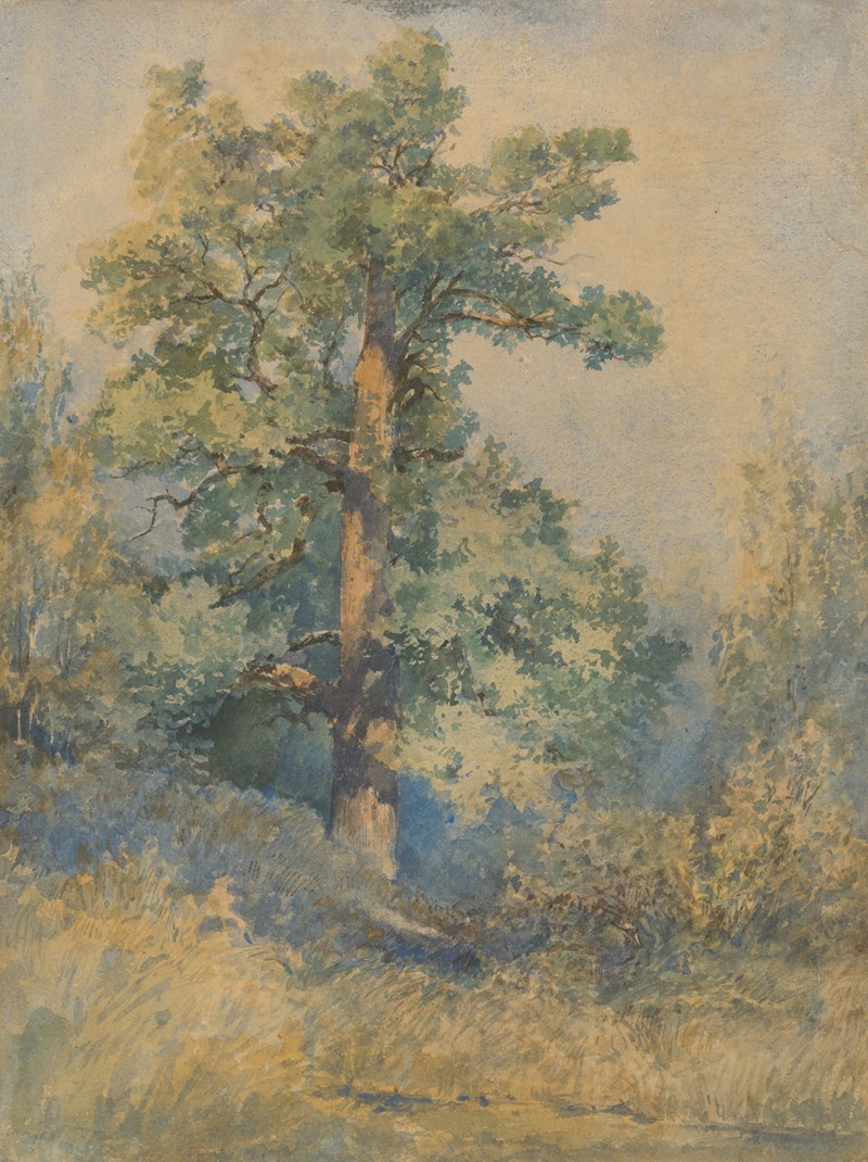 Ladislav Mednyánszky - Sketch of a Tree
