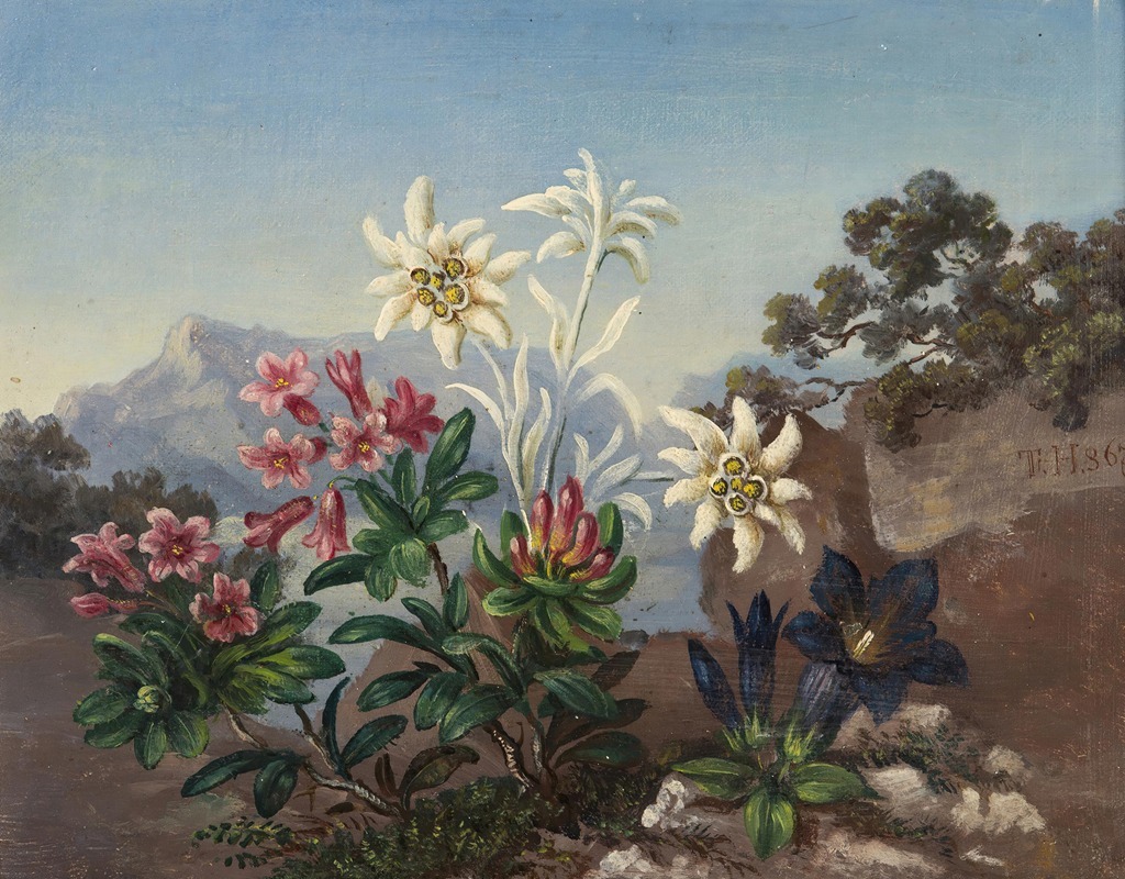 Anonymous - Alpine Flowers