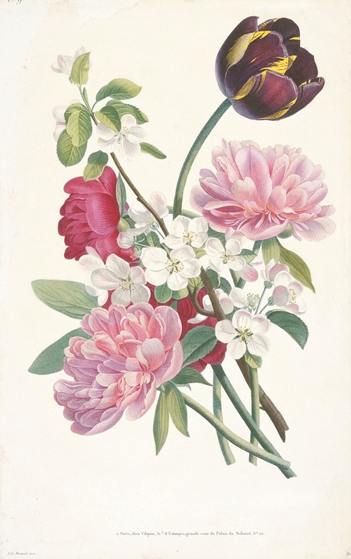 After Jean Louis Prévost - Bouquet of Tulip, Peonies, and a Branch from an Apple Tree